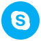 Skype icon